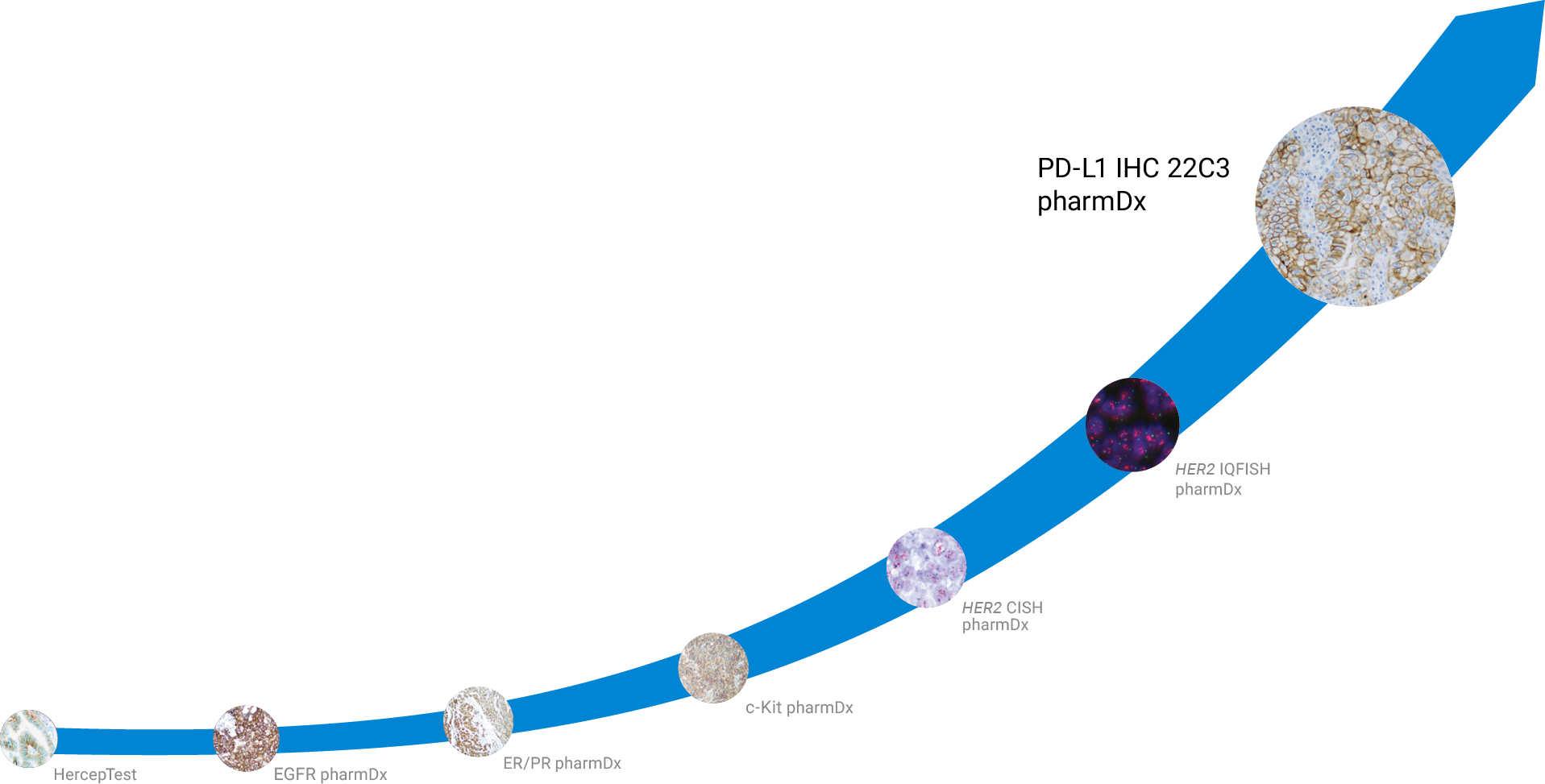 Agilent has a legacy of pioneering diagnostic assay development